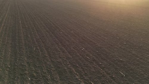 Landwirtschaftliches Ackerland Feld 66