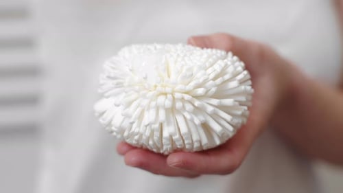 Pouring shampoo on white sponge before shower, close up