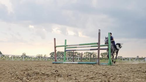 Super Slow Motion of a Woman Jockey Jumps Over the Barriers on a Horse