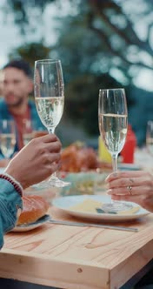 Champagne Toast at an Outdoor Lunch Gathering