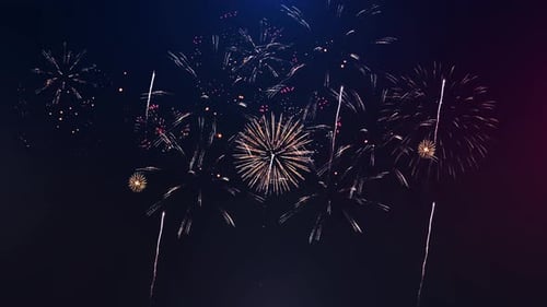 Realistic Celebration Fireworks Exploding at Night Animation