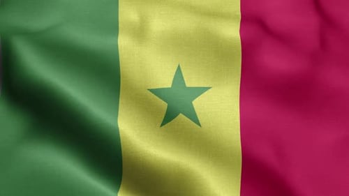 Senegal National Flag Waving Loop