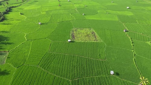 Agriculture
