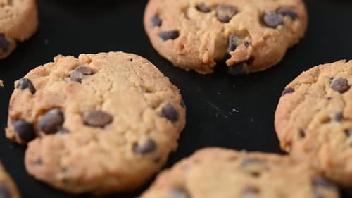 Baked chocolate chip cookies on a baked tray
