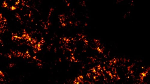 Abstract Fractal Waves Background