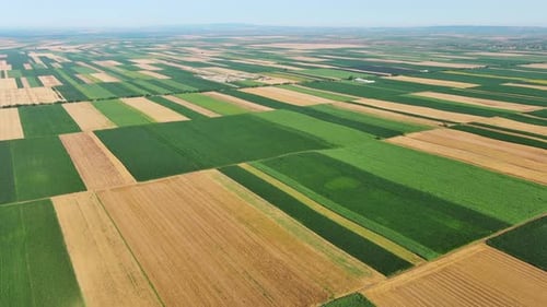 Aerial View of Agriculture Fields