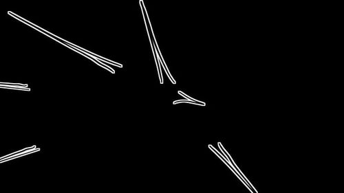 Action Lines Animation | Speed Lines Effect | Motion Graphics Loop + Alpha Channel