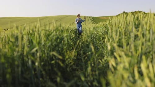 Farmer Inspecting Wheat Field