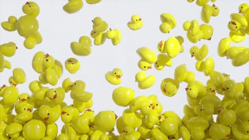 Yellow Rubber Duck Animated Fill Transition