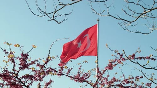 Red Turkish Flag Waving in Wind