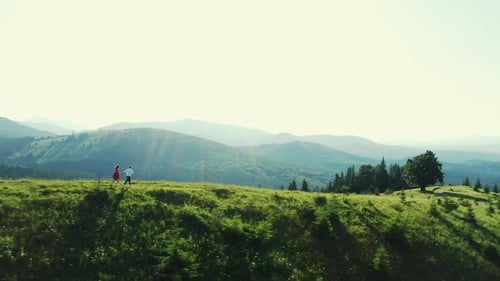 Tracking Shot of Unrecognizable Couple Holding Hands and Running on Green Grassy Hill on Sunny