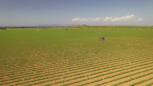 Agriculture field with tractor.