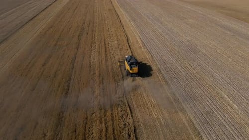 Combine Harvester Working in Agricultural Field Harvest Season