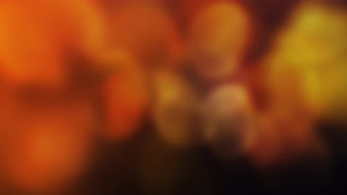 Glamour Collection: Orangish golden bokeh seen glowing over a dark background