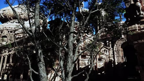 Un arbre devant un bâtiment en pierre