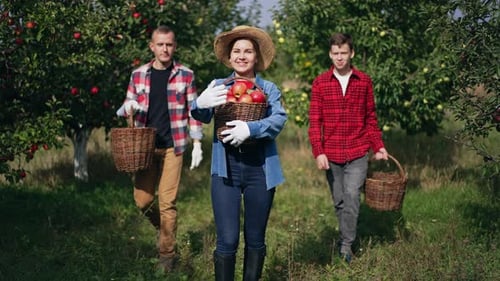 picking, ripe, garden, fruit, natural, food, agriculture, sunlight, looking at camera, organic,