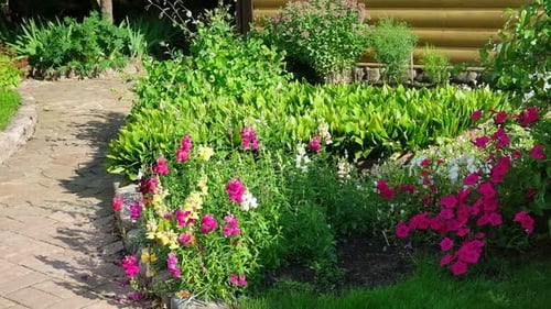 Landscaping in Green Home Garden Landscape Design with Flower Beds in Summer Plants and Flowers at