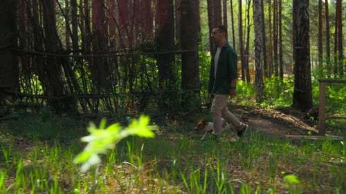 Parque verde de verano con un hombre y un perro que pasean