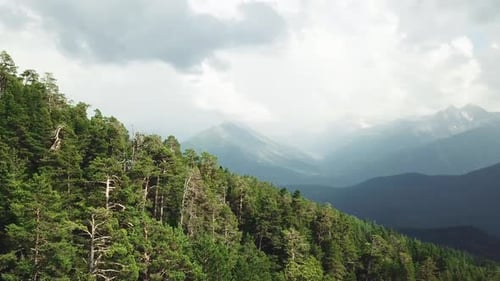 Aerial View of Evergreen Forested Mountains
