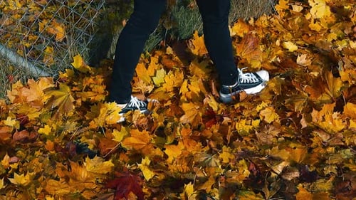Woman’s feet walking in fall yellow leaves covered pedestrian way, steps kick up leaves into the air