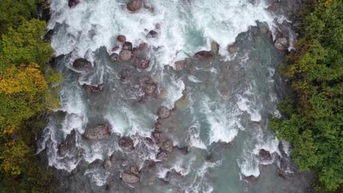 Aerial view of river rapids and trees, United States.