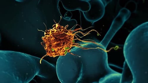 Animated 3D Microscopic Cell and Bacteria Organism