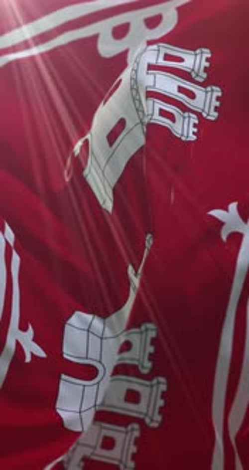 Vertical Flag Waving with Castle and Key Design