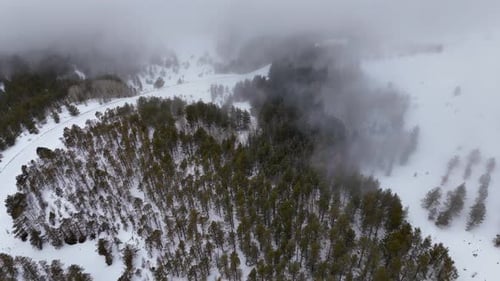 El Niño Winter