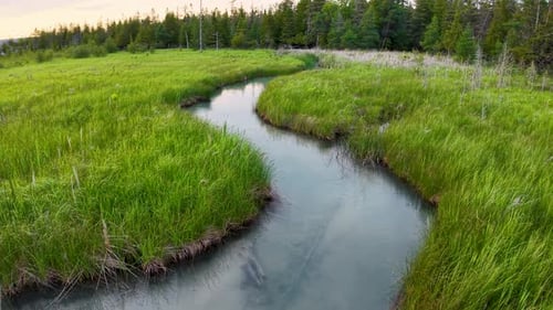 Aerial drone view of a winding stream curving through lush green grasslands surrounded by dense