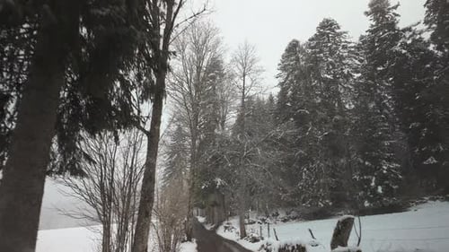 Driving through the snowy road