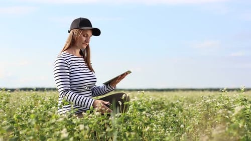 cropped video of female farmer with a tablet computer in a soy field touches the leaves and writes