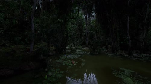 Mysterious Midnight Swamp Still Waters Mirror Faint Glow of Moonlight