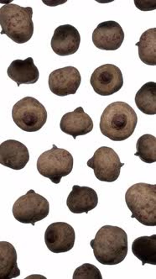 Organic Root Vegetables Falling on White Background
