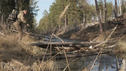 Man Crossing Creek on Fallen Trees During Forest Hike