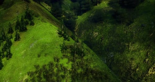 Lush Green Hills and Valleys Under Bright Sunlight in a Serene Landscape