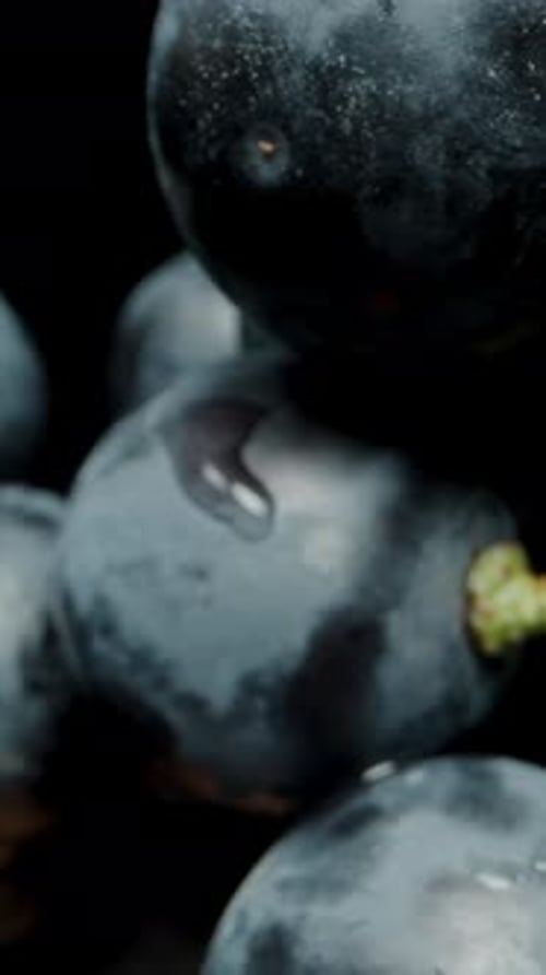 Vertical video. Black grapes in water droplets on a black background. Dolly slider extreme close-up.