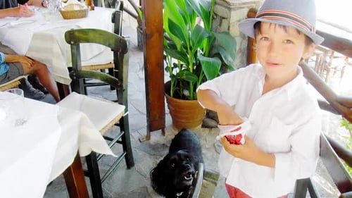Boy feeding dog