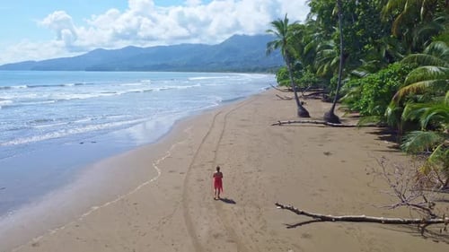 Woman walking on tropical beach during sunny day in Costa Rica.(Aerial)