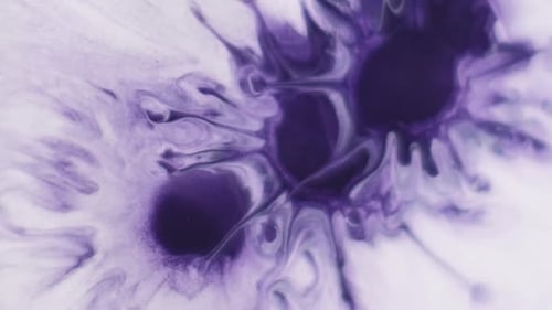 Paint Blob Pigment Splash Splatter Liquid Spray