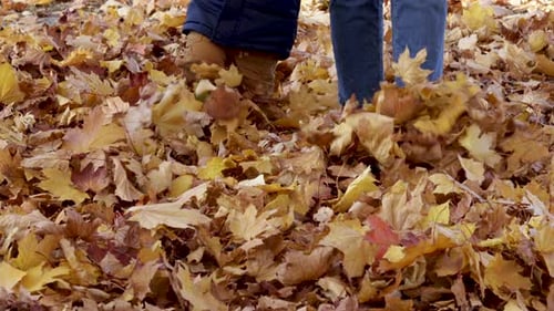 Child and Adult Play Kicking Autumn Leaves
