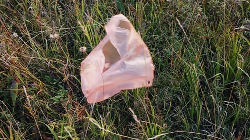 Una bolsa de plástico atrapada en una catástrofe ecológica de Bush