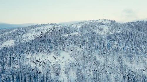 Snow-Laden Forest Mountains After Snowstorm. Aerial Drone Shot