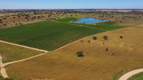 Aerial view of lake on vineyard estate.