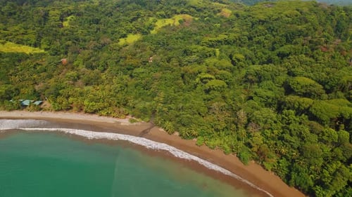 Overhead view of ocean waves crashing on sandy shore with dense forest in Costa Rica