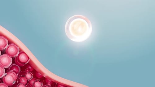 Fluid Biological Cell Merging Animation into Organic Structure