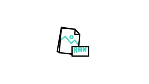 Raw File Animated Icon