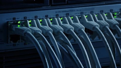 Macro Shot: Ethernet Data Cables Connected to Router Ports with Blinking Lights. Telecommunications