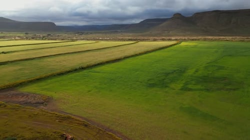 Aerial: Fly low over Lush green farmland bordered by dirt roads and mountains
