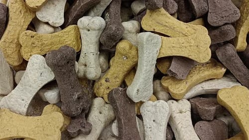 Dog Biscuits Food