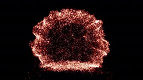 Shockwave-Portal